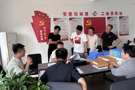 省檢查組對碧桂園?梧桐府開展企業(yè)資質…